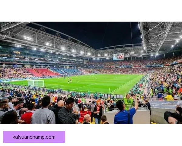 全面解读世界杯买球盘口变化趋势与实战投注策略指南助你把握赛事